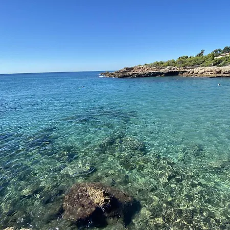 Melaza L'Ametlla de Mar