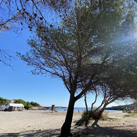 Melaza L'Ametlla de Mar