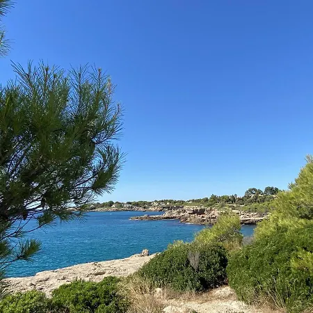 Melaza L'Ametlla de Mar