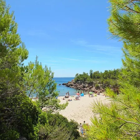 Melaza L'Ametlla de Mar