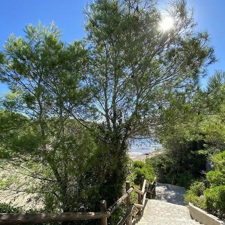 Melaza L'Ametlla de Mar